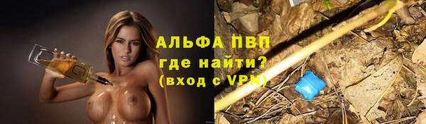 хмурый Богородск