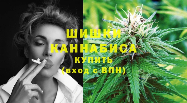 ECSTASY Богданович
