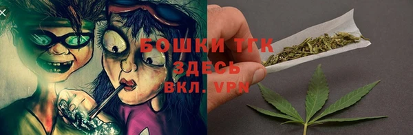 ECSTASY Богданович