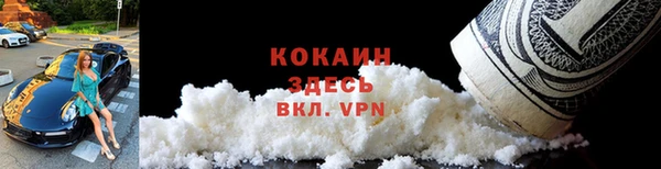 ECSTASY Богданович