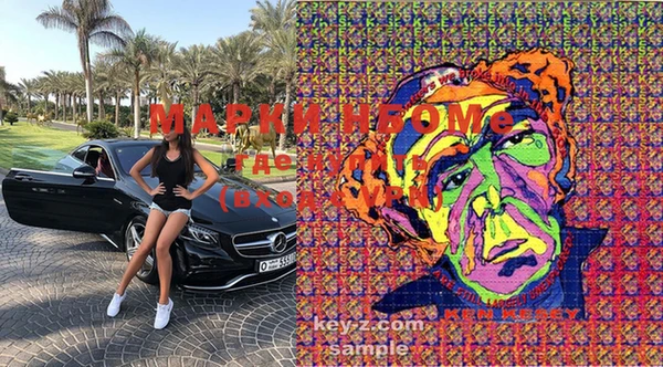 ECSTASY Богданович