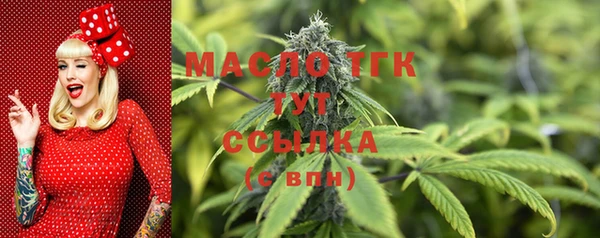 хмурый Богородск