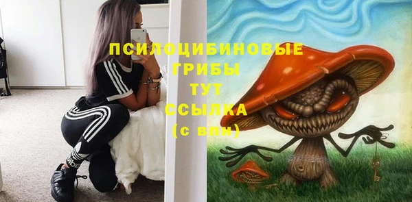 хмурый Богородск