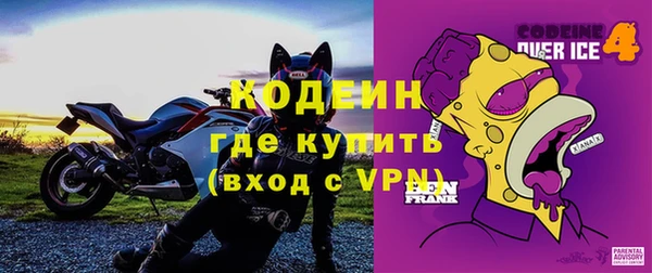 ECSTASY Богданович